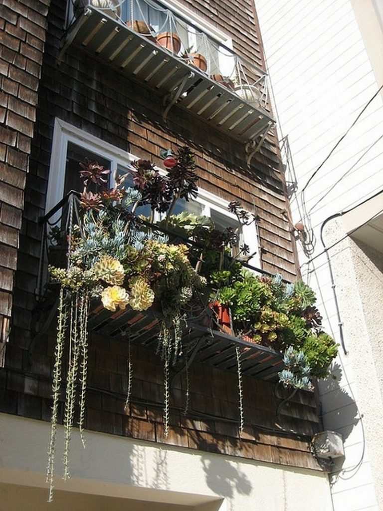 Balcony Gardens