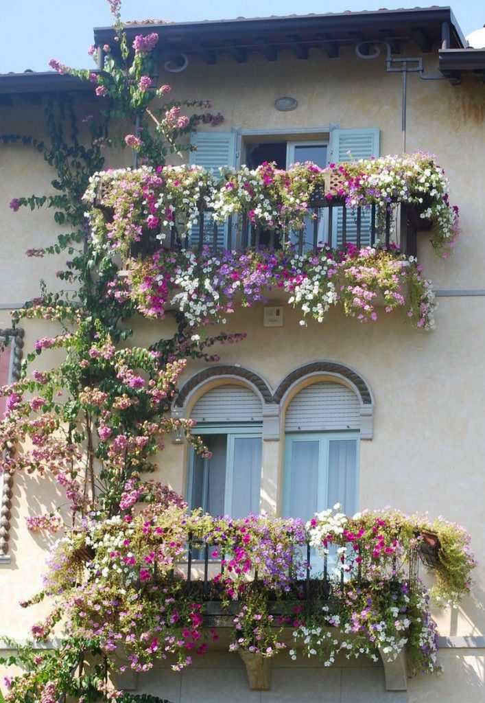 Balcony Gardens
