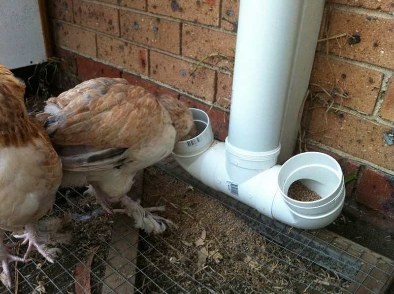 DIY PVC Chicken Feeder