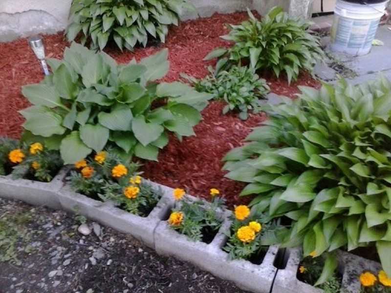 Garden Bed Edging Ideas