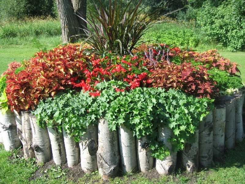 Garden Bed Edging Ideas