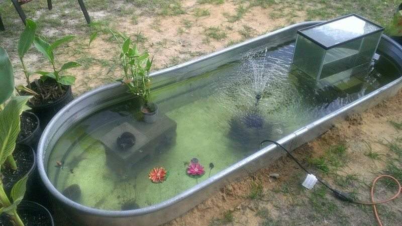 Backyard Ponds and Aquariums