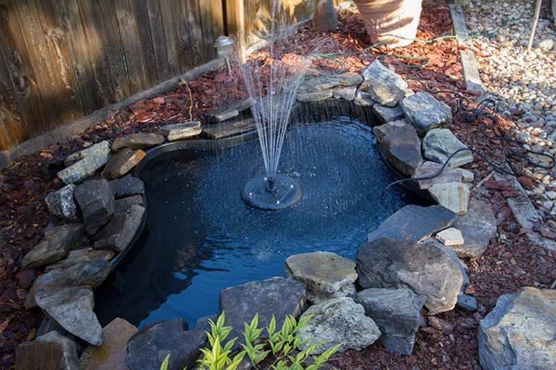 Backyard Ponds and Aquariums