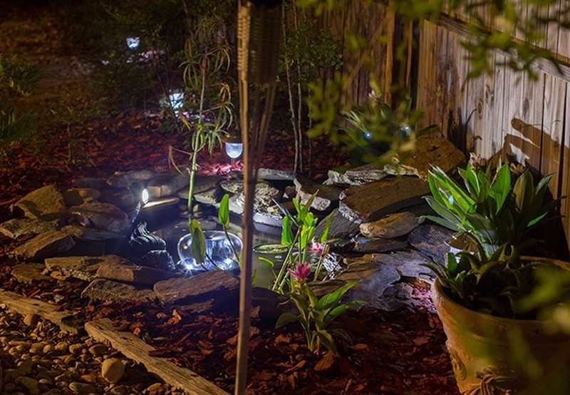 Backyard Ponds and Aquariums