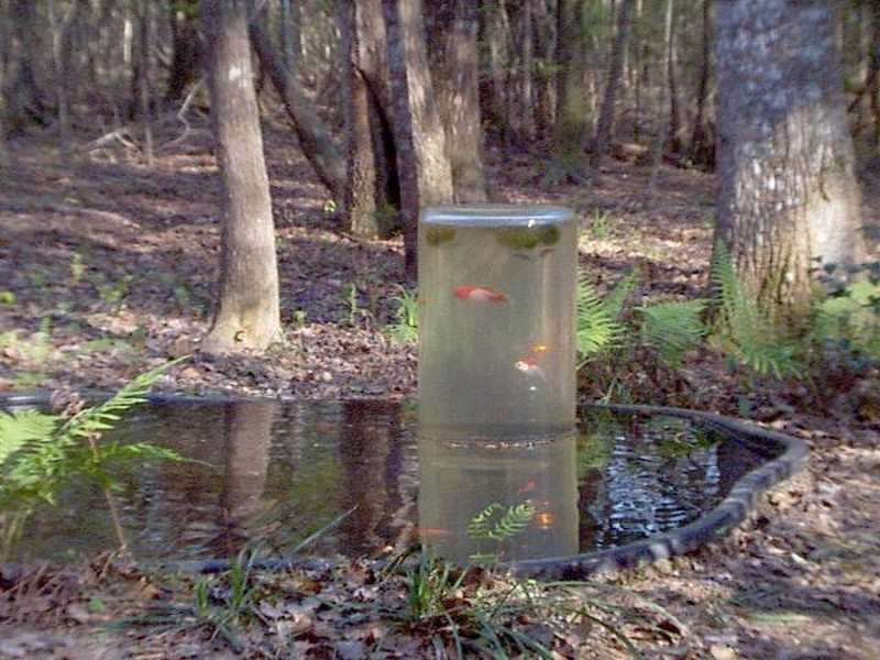 Backyard Ponds and Aquariums