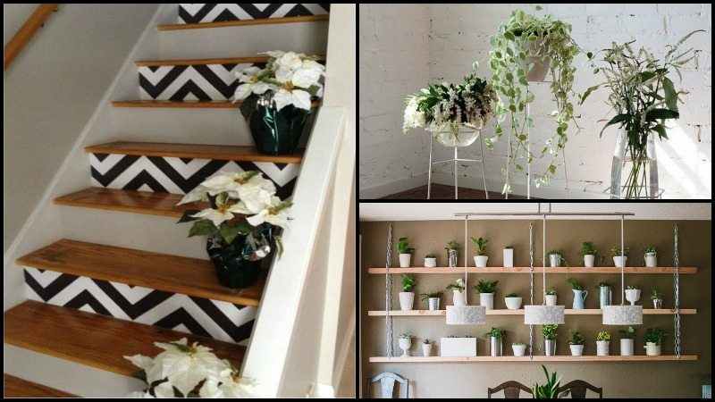 Amazing Ways to Display Indoor Plants