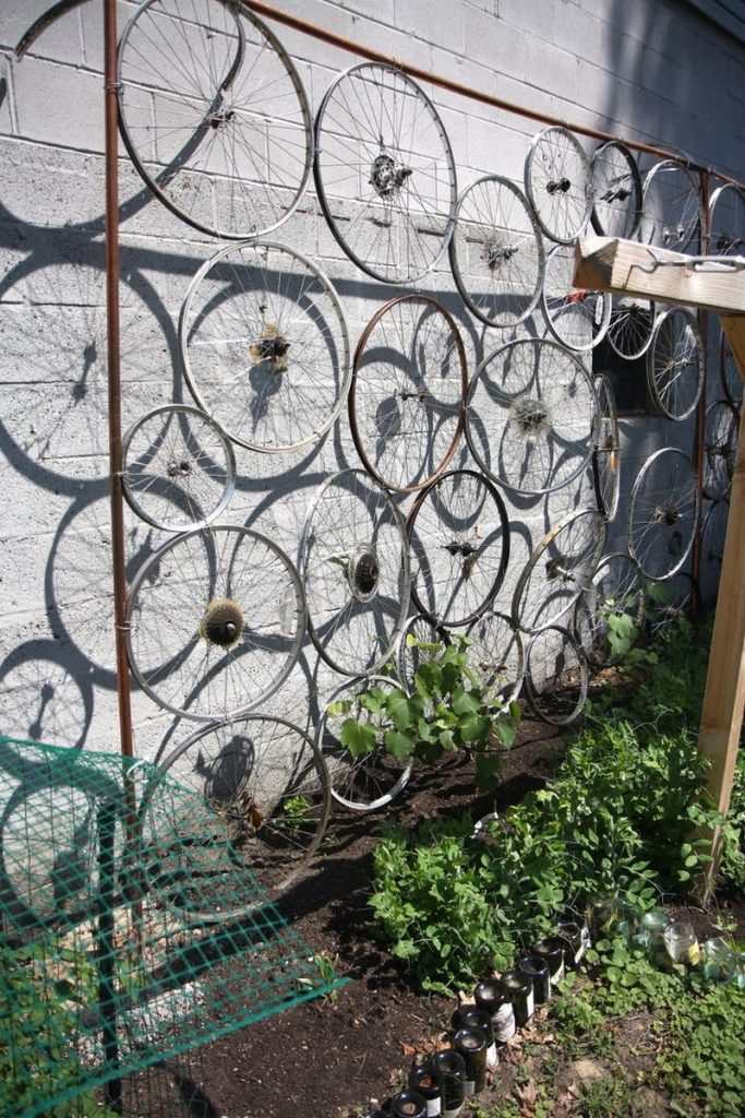 Fence Ideas