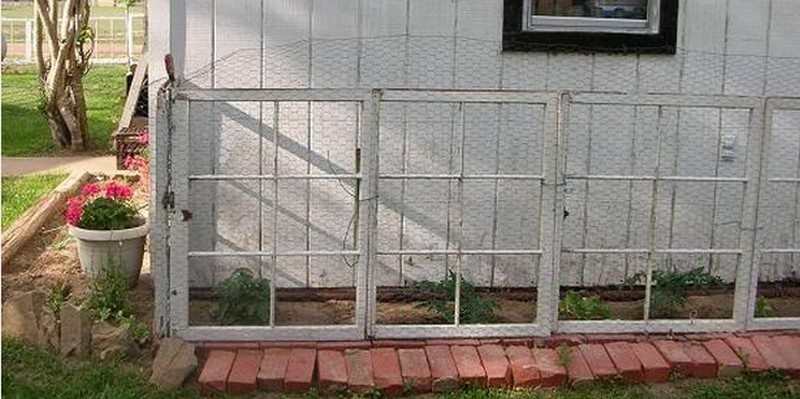 Fence Ideas
