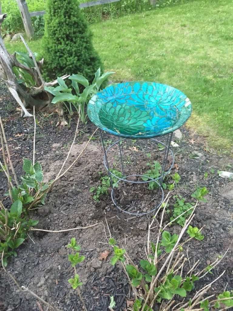 Tomato Cage Bird Bath