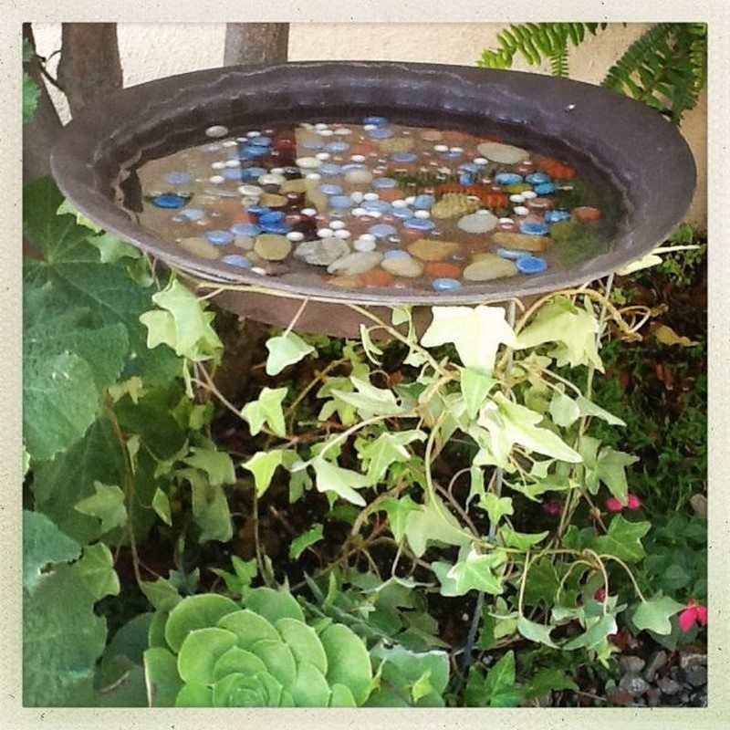 Tomato Cage Bird Bath
