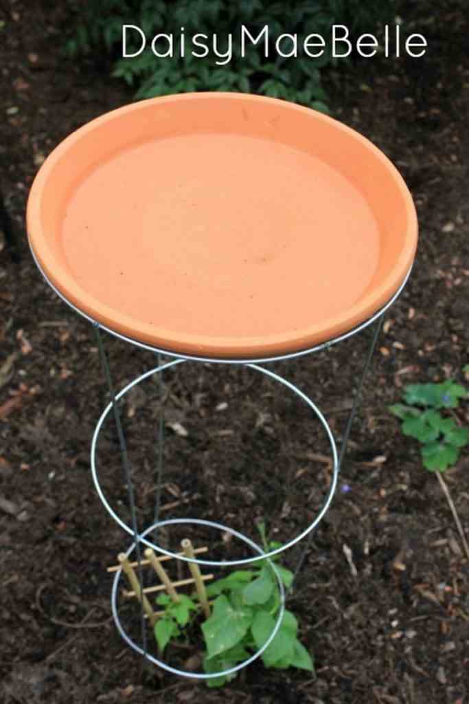 Tomato Cage Bird Bath