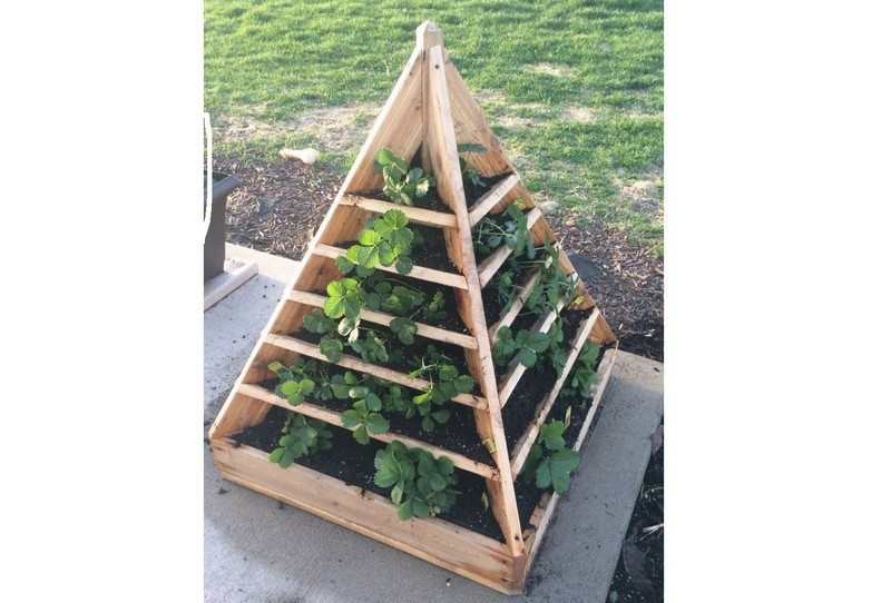 Space Saving DIY Vertical Gardens