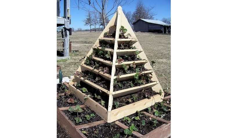 Space Saving DIY Vertical Gardens