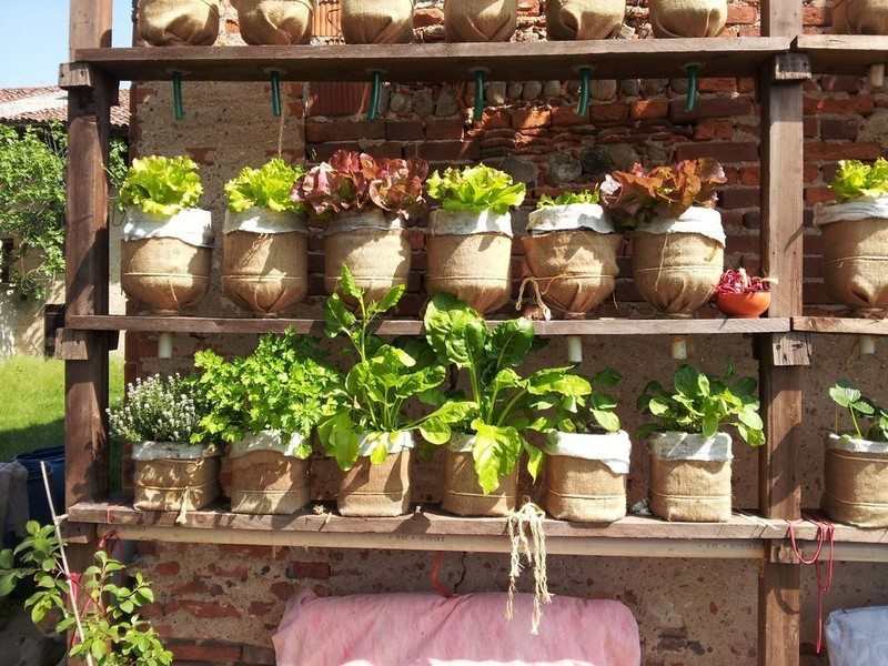 Space Saving DIY Vertical Gardens
