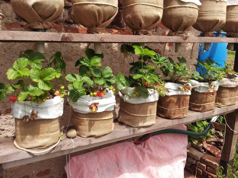 Space Saving DIY Vertical Gardens