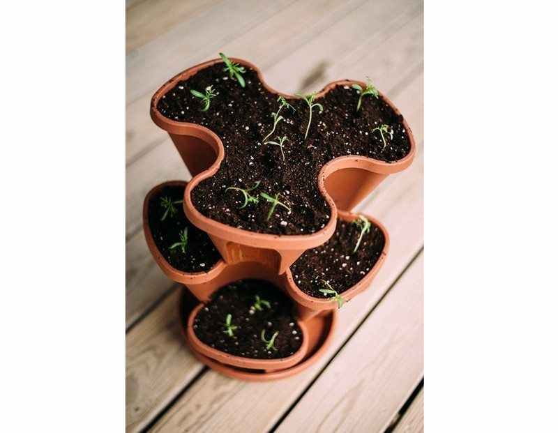 Space Saving DIY Vertical Gardens