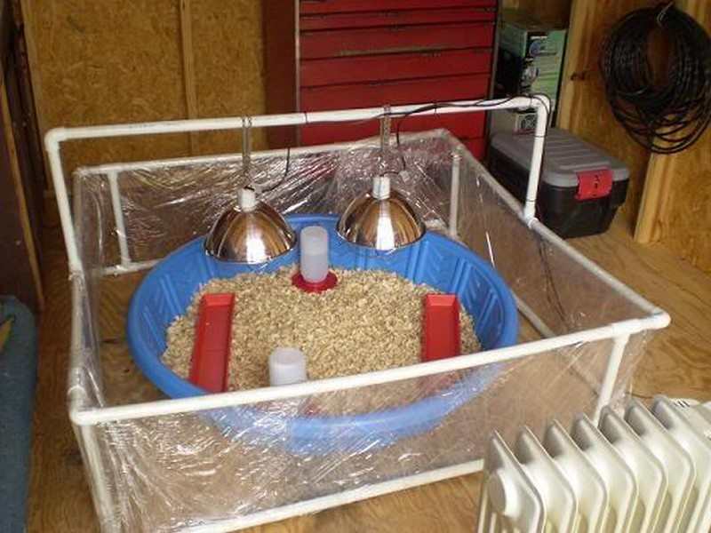 Chick Brooder Ideas