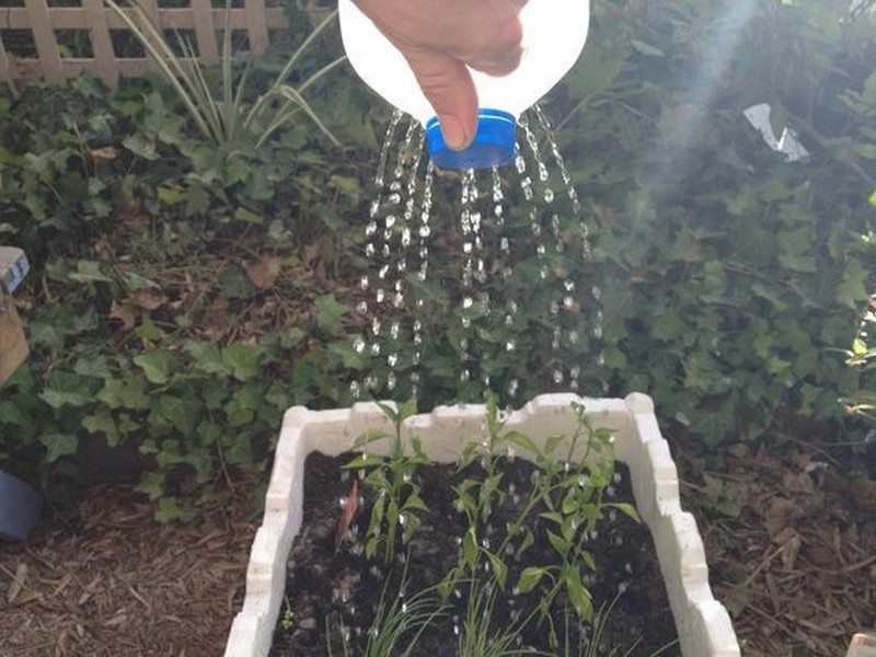 Repurposed Plastic Milk Jugs Ideas