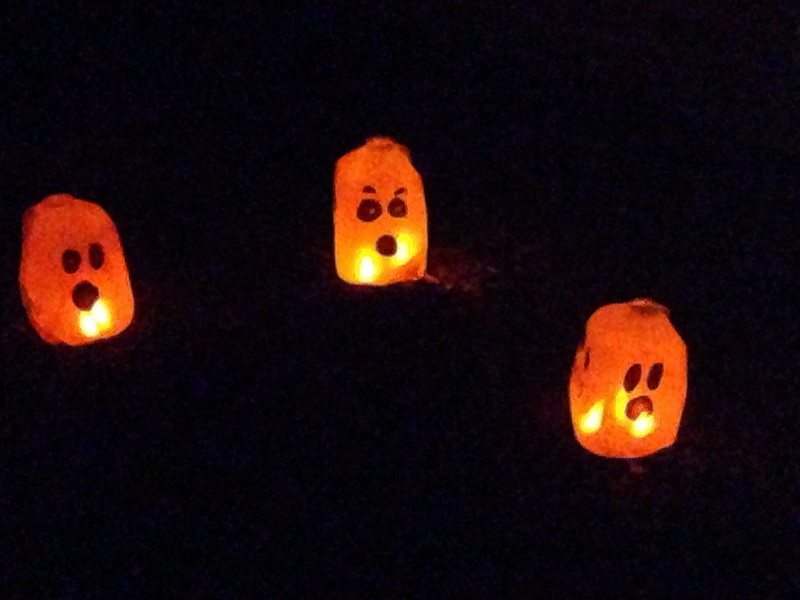 Repurposed Plastic Milk Jugs Ideas