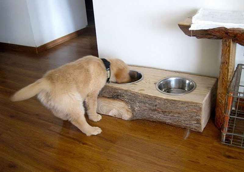 Rustic Log Decor Ideas