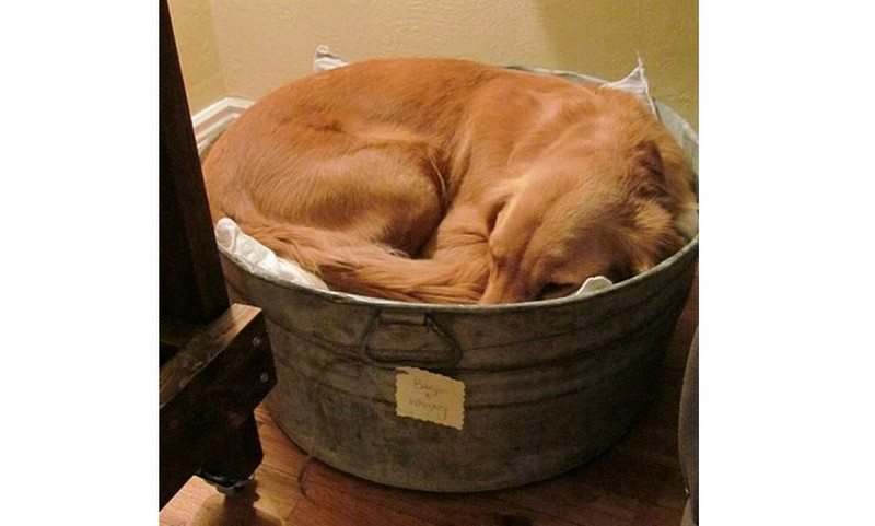 Repurposed Galvanized Buckets and Tubs