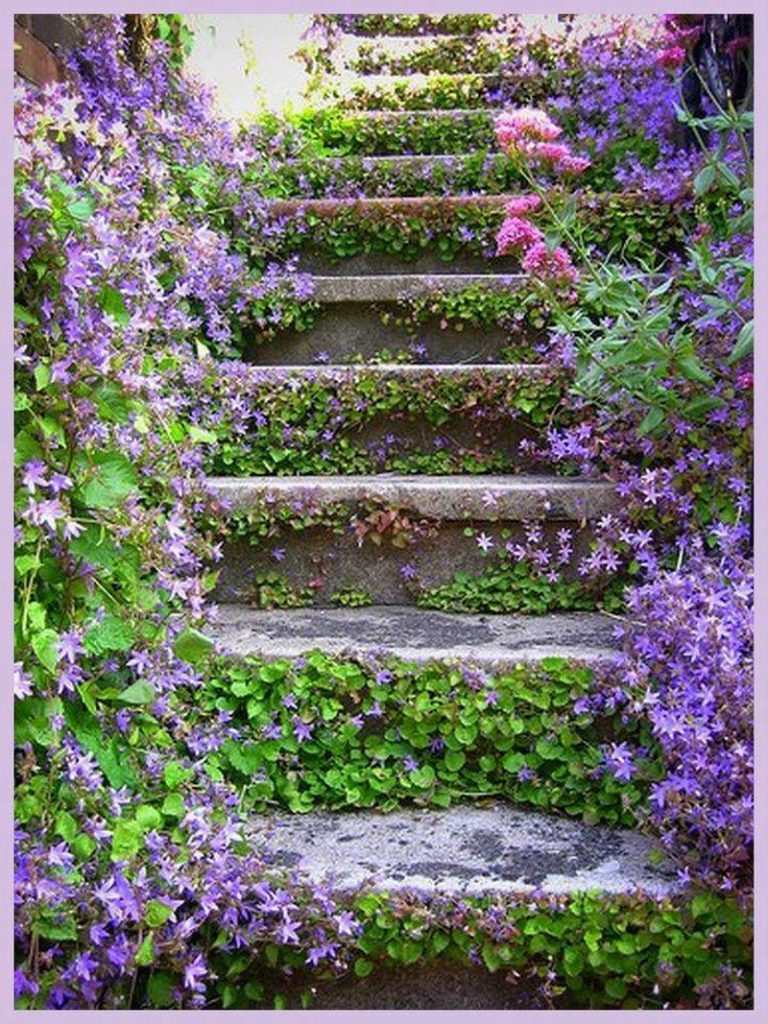 Beautiful Stairway