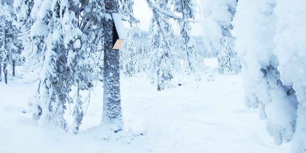 Cabin Vindheim in Lillehammer, Norway