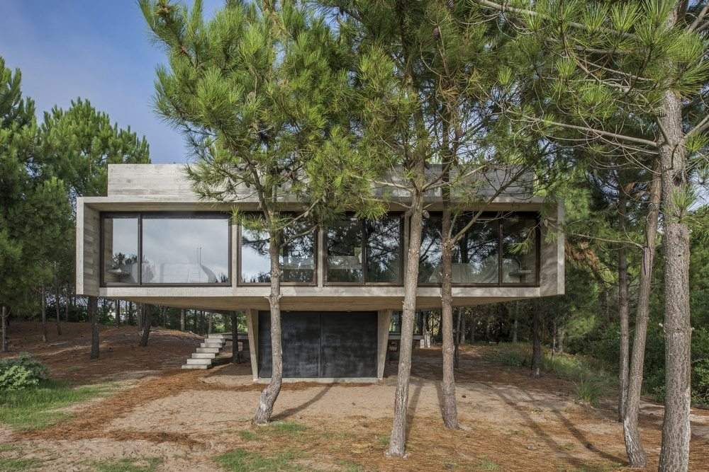 S+J House is tucked quietly behind tall trees.