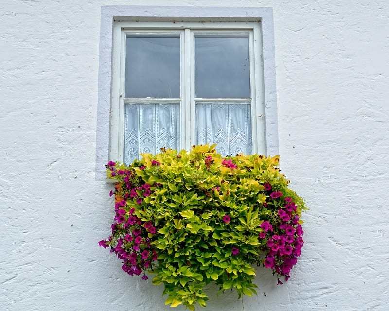 Overflowing with color and sweet scent, window boxes are legacy from a time when people built their homes on the edge of the street. 