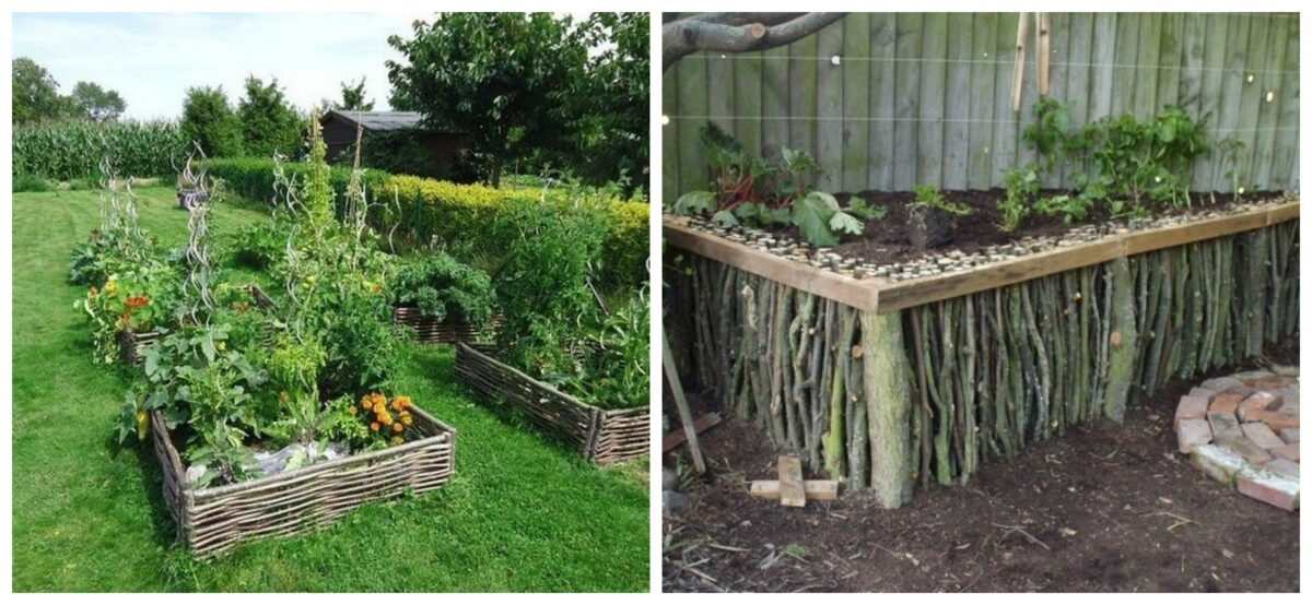 raised garden beds