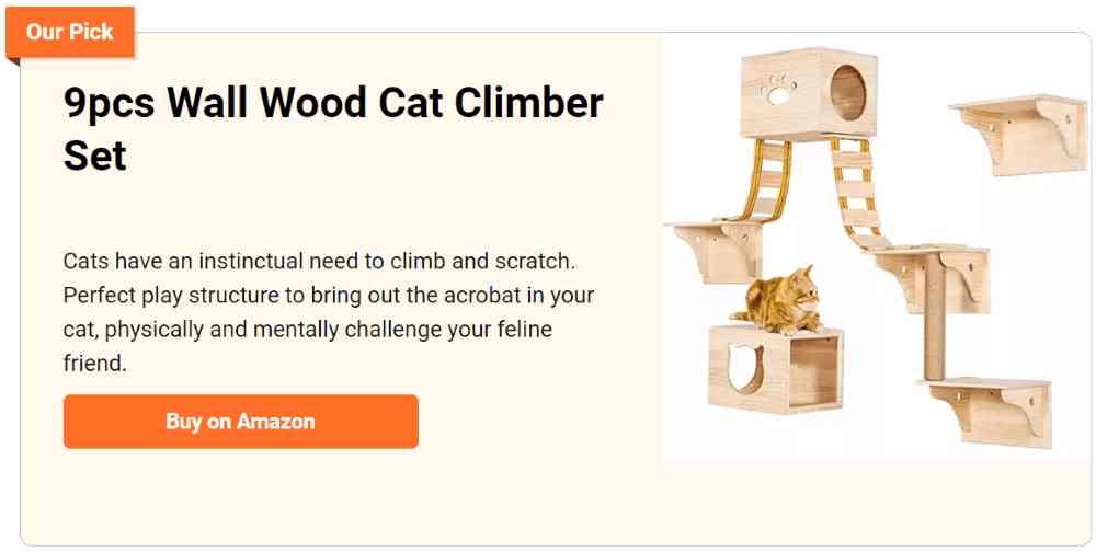 9bpcs wall wood cat climber set