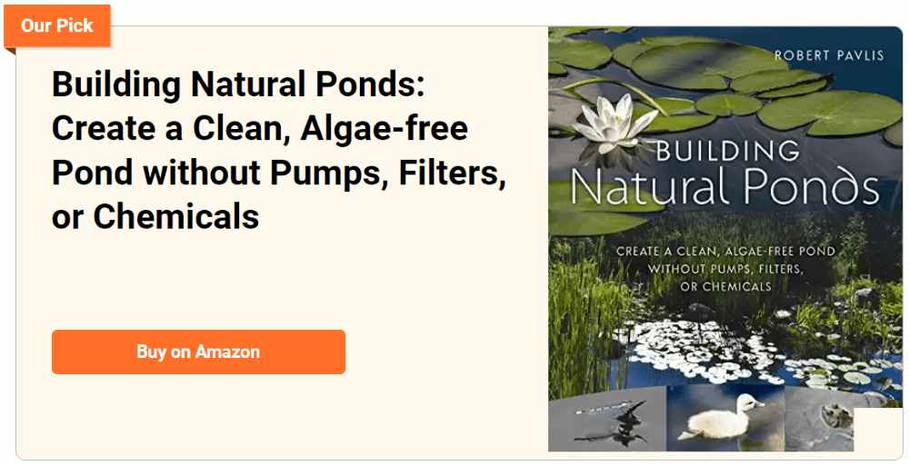 Building natural ponds