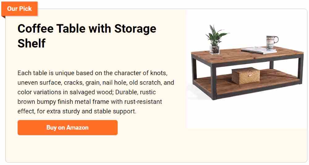 Coffee Table with Storage Shelf