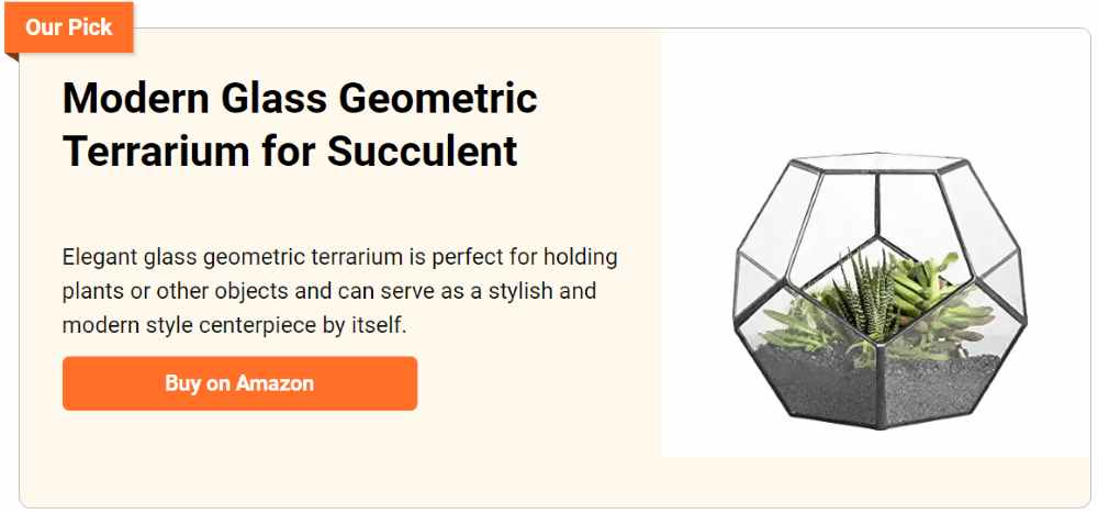 Modern glass geometric terrarium 