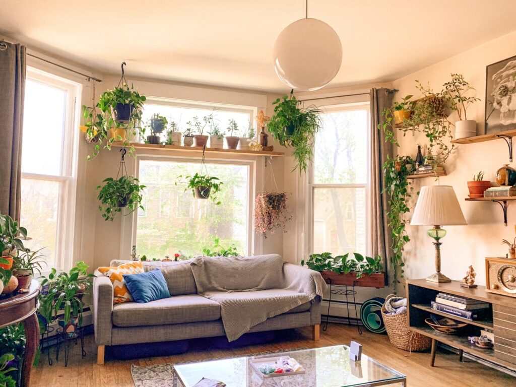 Indoor Garden