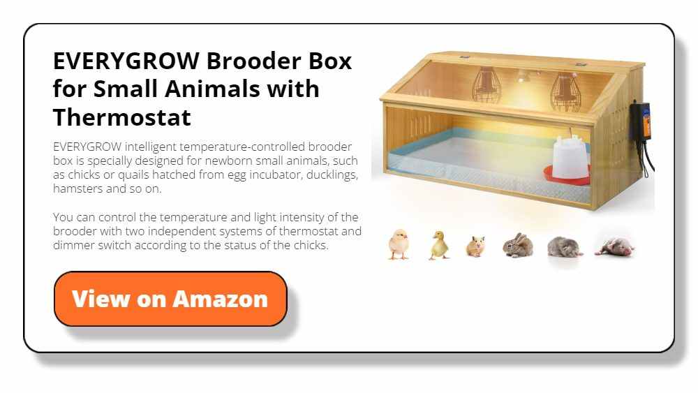 Brooder Box for Small Animals