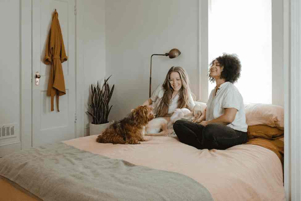 The following article can help you minimize the costs and create a practical home suitable for your pets.