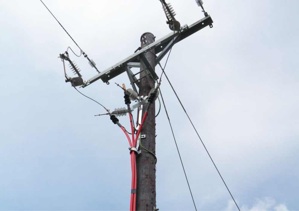 Take into account your budget before making a choice between underground and overhead power lines.