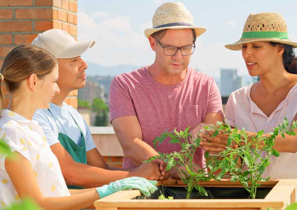 Rooftop gardens are like a breath of fresh air in the concrete jungle.