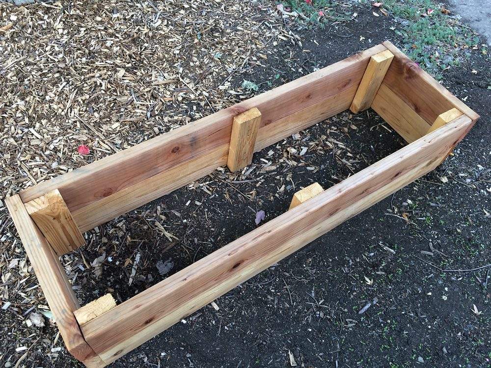 Raised Garden Beds
