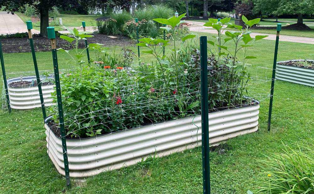 Raised Garden Beds