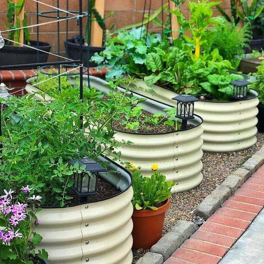 Raised Garden Beds