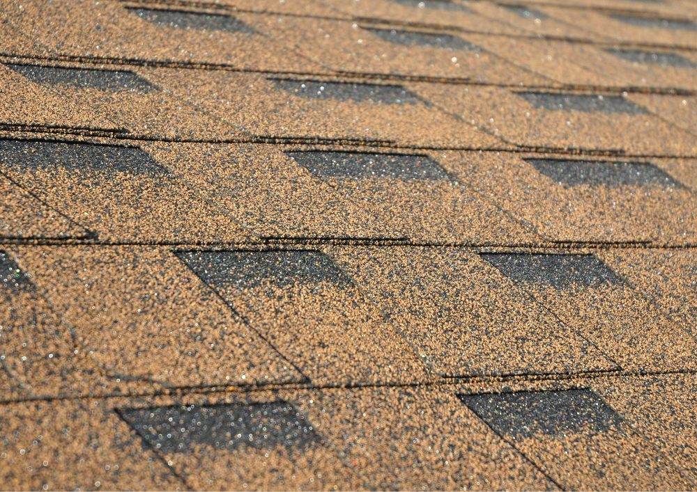 Shingle Roof