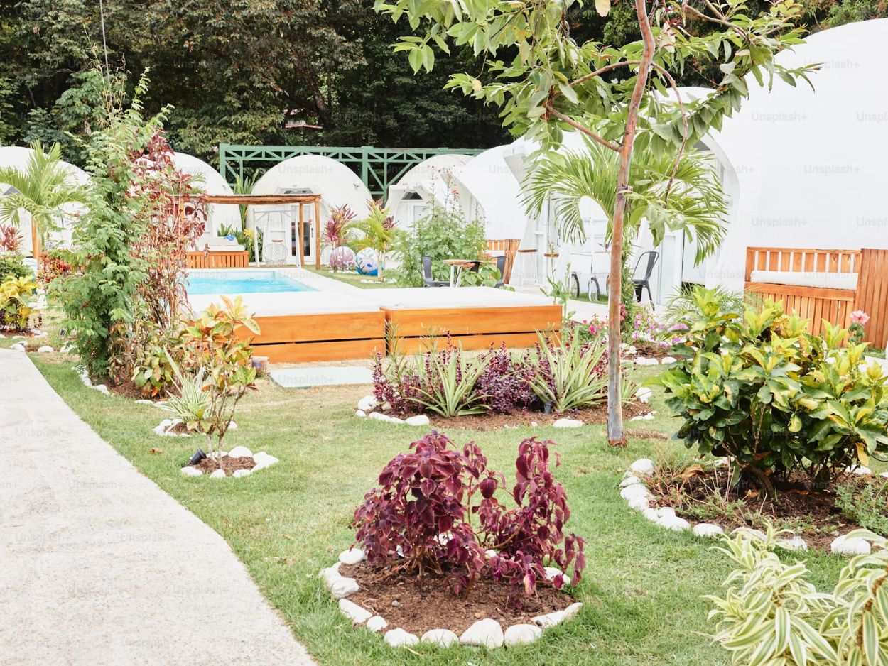 an image of an outdoor space with various plants and trees.
