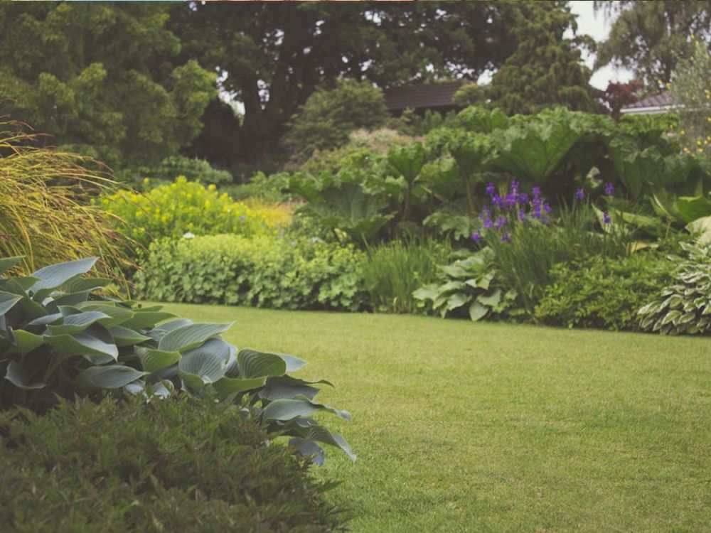 an image of an outdoor space utilizing smart landscape design. 