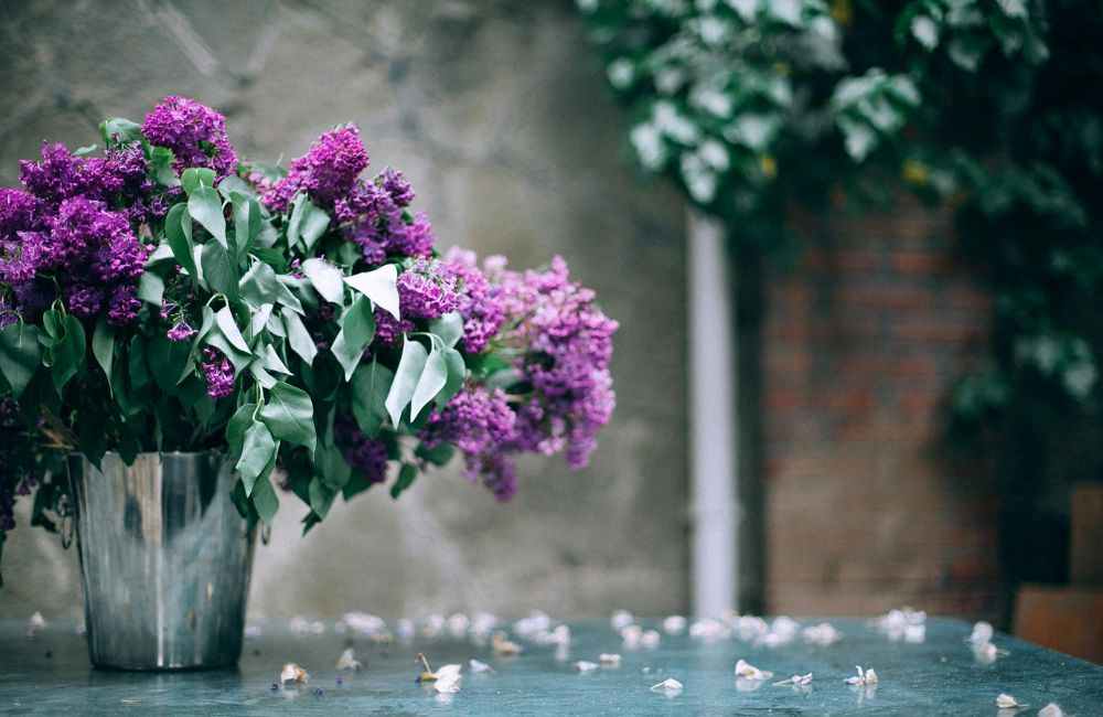 An image of flowers in a metal planter.