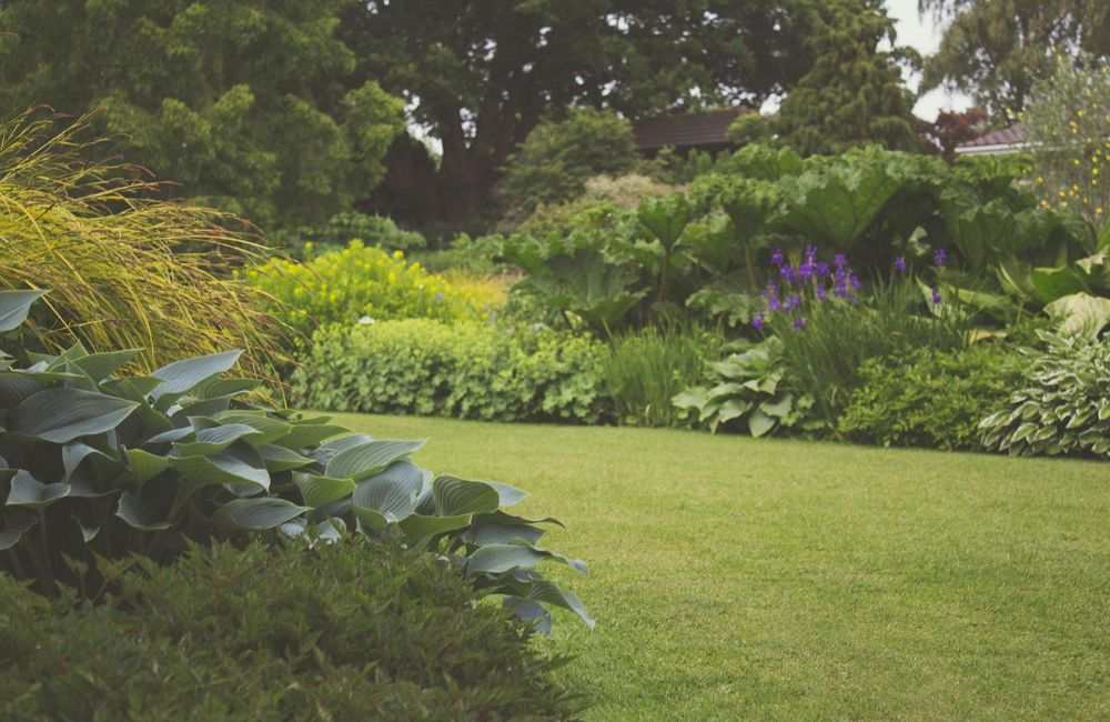 How to Plan Your Landscaping Project on a Budget