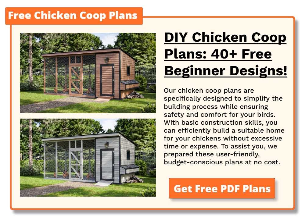 Free Chicken Coop Plans 2