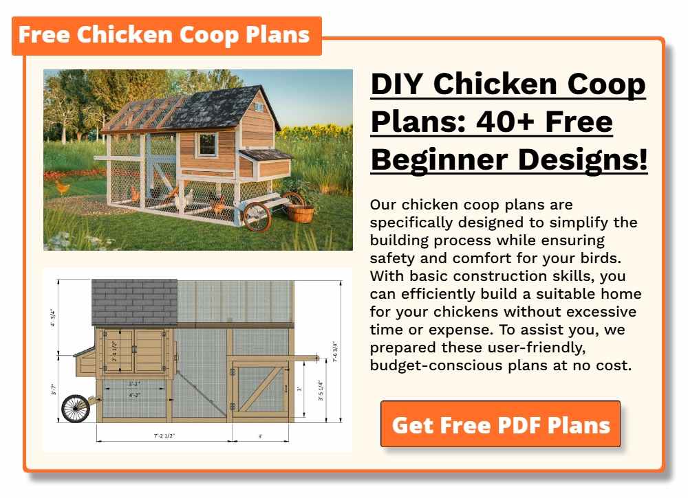 Free Chicken Coop Plans Mobile