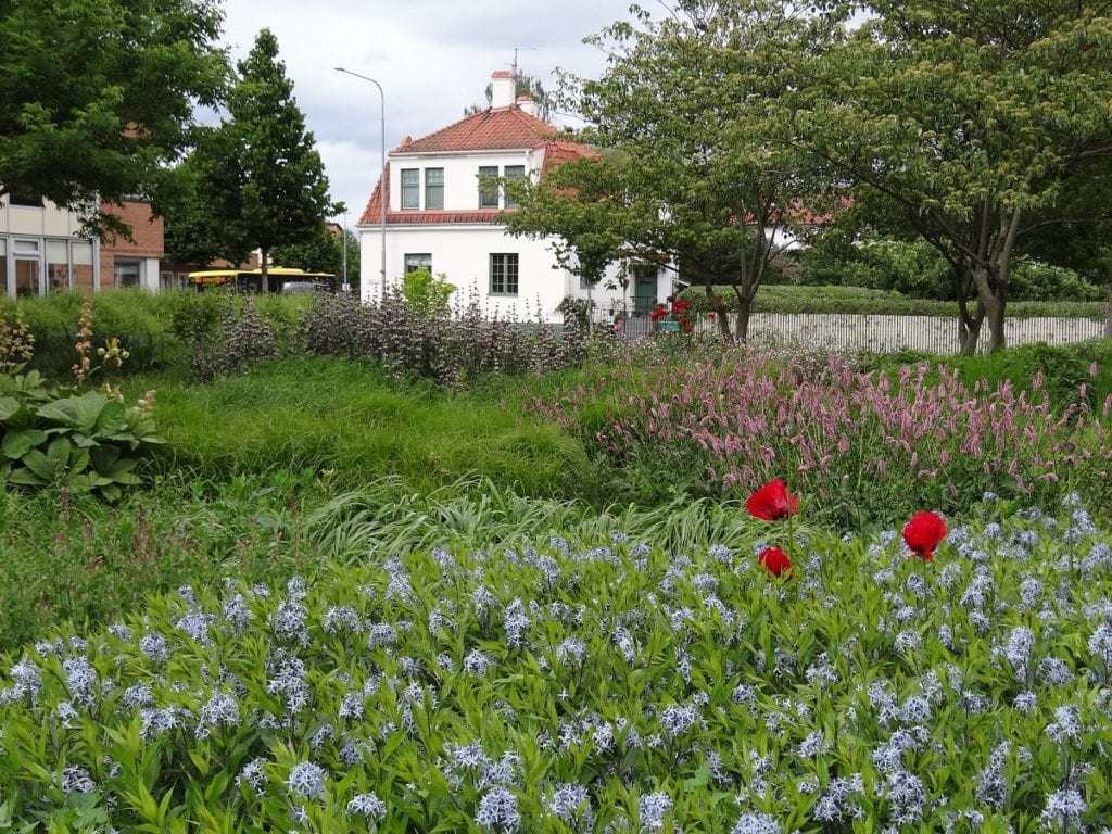 Piet Oudulf's Garden Design Style